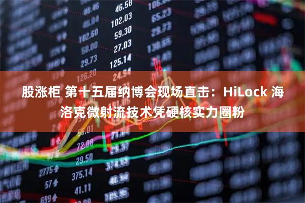 股涨柜 第十五届纳博会现场直击：HiLock 海洛克微射流技术凭硬核实力圈粉