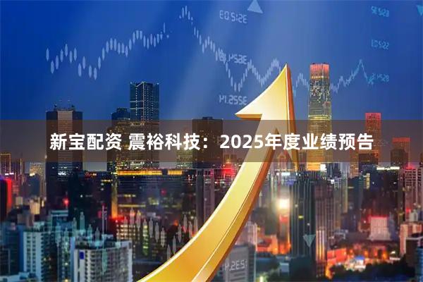 新宝配资 震裕科技：2025年度业绩预告