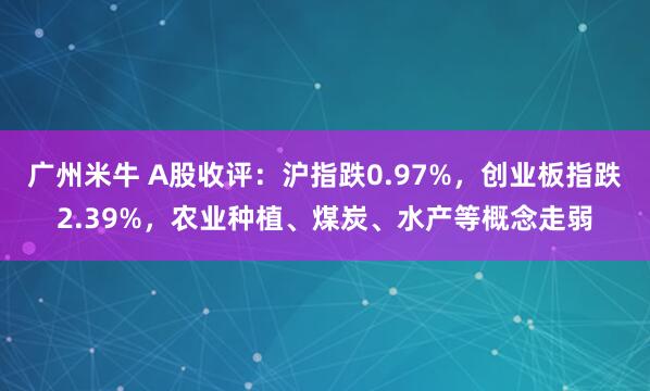 广州米牛 A股收评：沪指跌0.97%，创业板指跌2.39%，农业种植、煤炭、水产等概念走弱